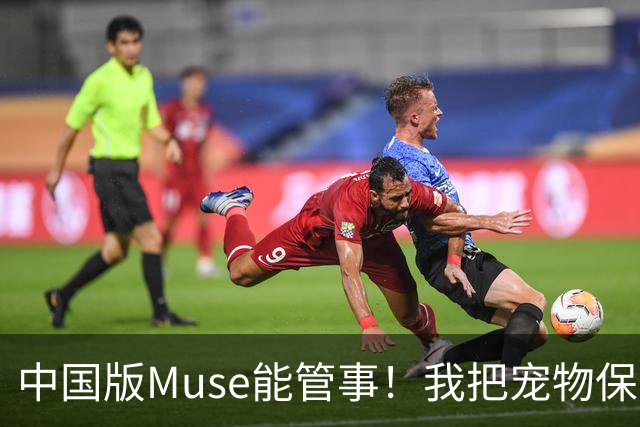 中国版Muse能管事！我把宠物保单、双11算价和周末旅行全交给了灵光2.0
