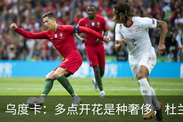 乌度卡：多点开花是种奢侈，杜兰特的工作变轻松了